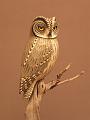 HIBOU PETIT DUC